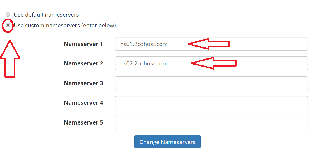 set your hosting nameservers
