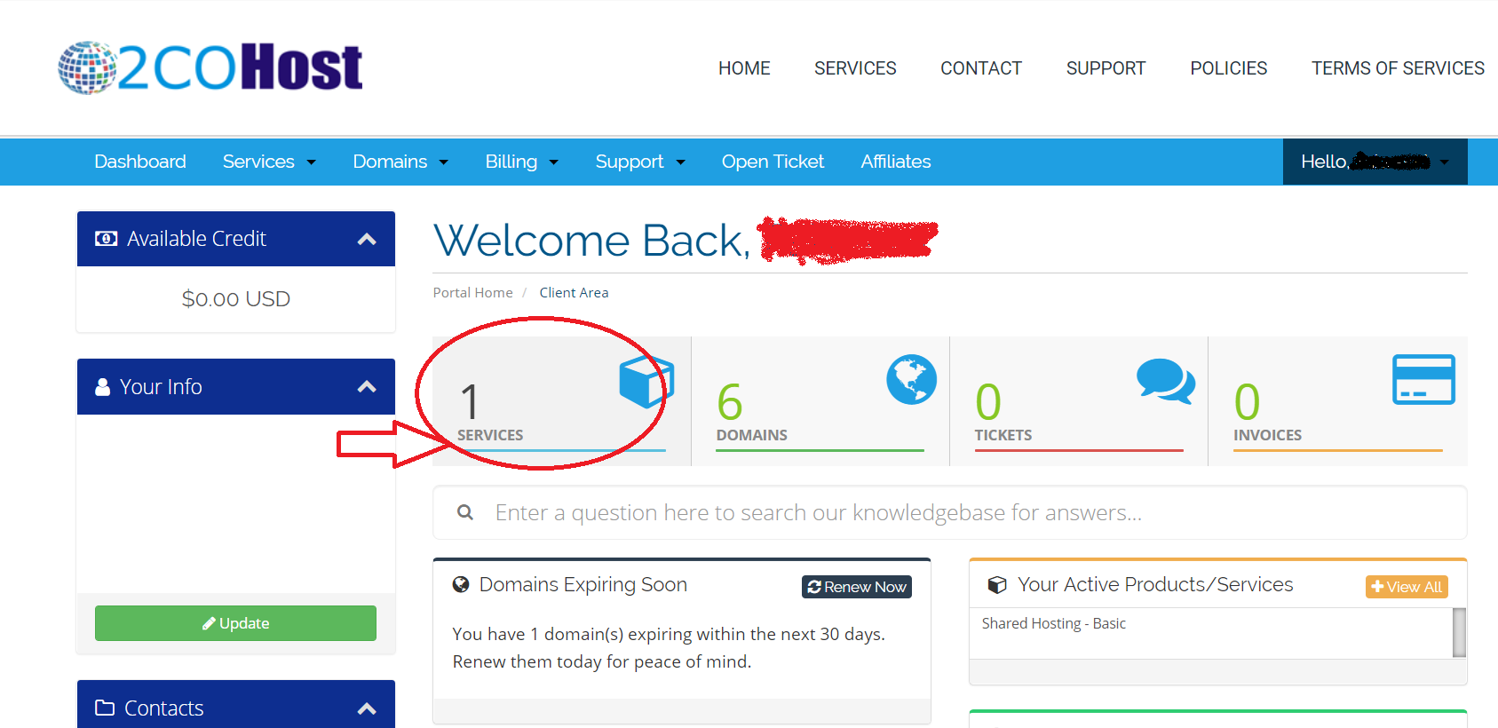 click on services to access cpanel